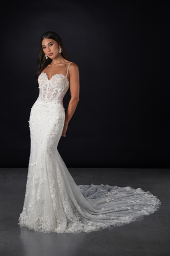 Martina Liana Style #ML1854 #0 default (IV-RUM) IVORY LACE IVORY AND RUM TULLE OVER RUM GOWN thumbnail