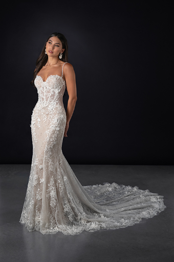 Martina Liana Style #ML1854 #2 default (IV-RUM) IVORY LACE IVORY AND RUM TULLE OVER RUM GOWN thumbnail