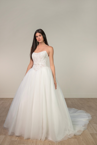 Stella York Plus Style #SY8189 #0 default (IV-IV) IVORY LACE AND TULLE OVER IVORY GOWN W IVORY SATIN BELT thumbnail