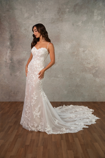 Essense of Australia Plus Style #D4344 #0 default (IV-IV) Ivory Lace and Tulle over Ivory Gown thumbnail