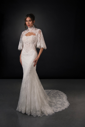 Martina Liana Style #ML2010 - Dress Only #0 default (IV-IVR) Ivory Lace and Tulle over Ivory Gown thumbnail