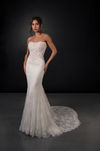 Martina Liana Style #ML2010 - Dress Only #2 (IV-IVR) Ivory Lace and Tulle over Ivory Gown thumbnail